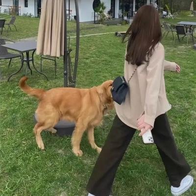 爱你无条件